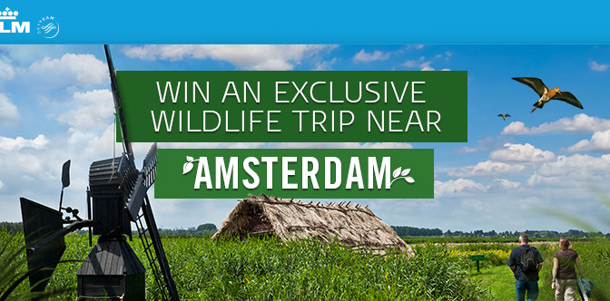 Competition win a trip to Amsterdam with KLM
