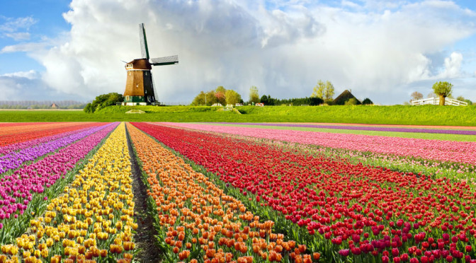 Holland windmill