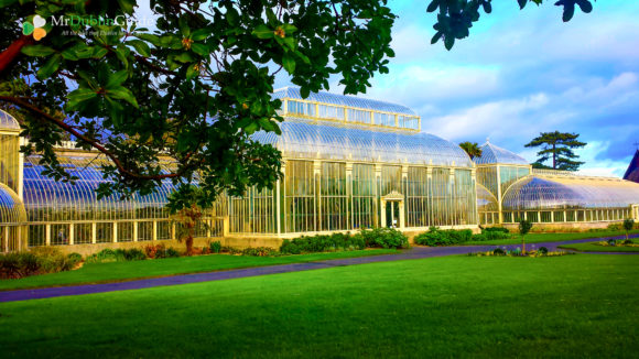 Top 25 things to do and see in Dublin National Botanic Gardens