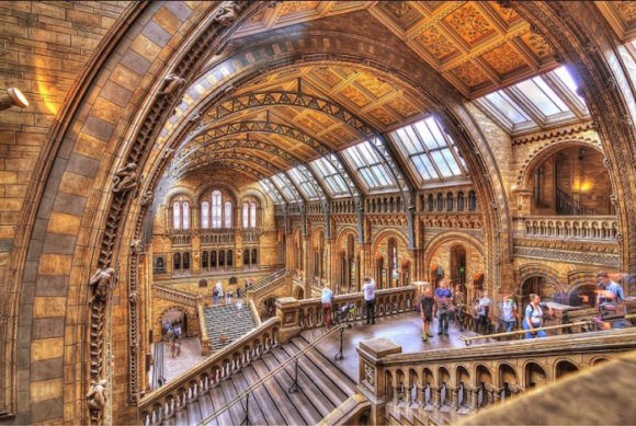 Was es in London zu sehen gibt was es zu besuchen gibt Natural History Museum